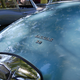 Image for article titled An Automotive Feast For The Eyes In Connecticut
